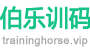 成都训码科技-伯乐训码
